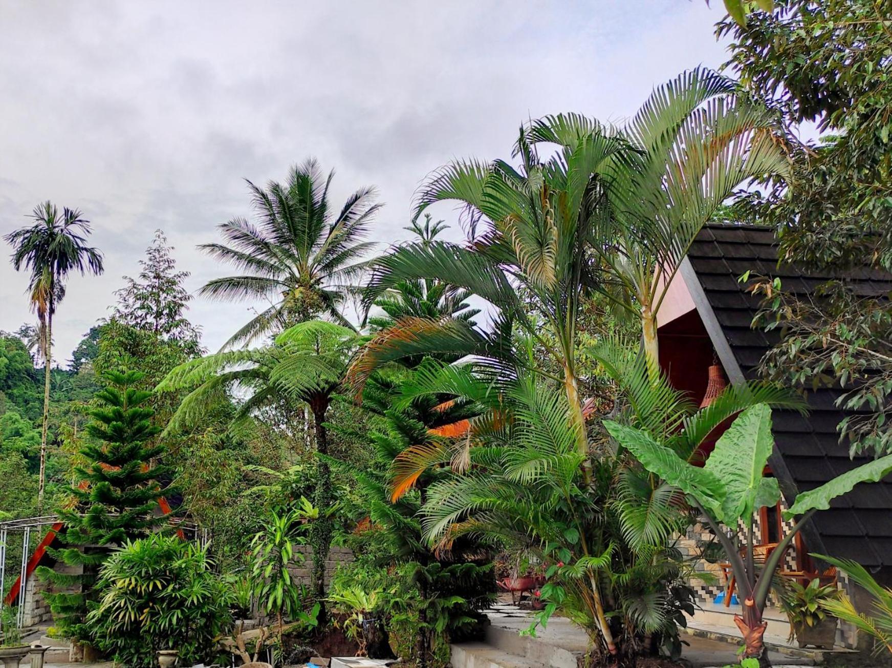 Goa Walet Cottage Прая Екстер'єр фото